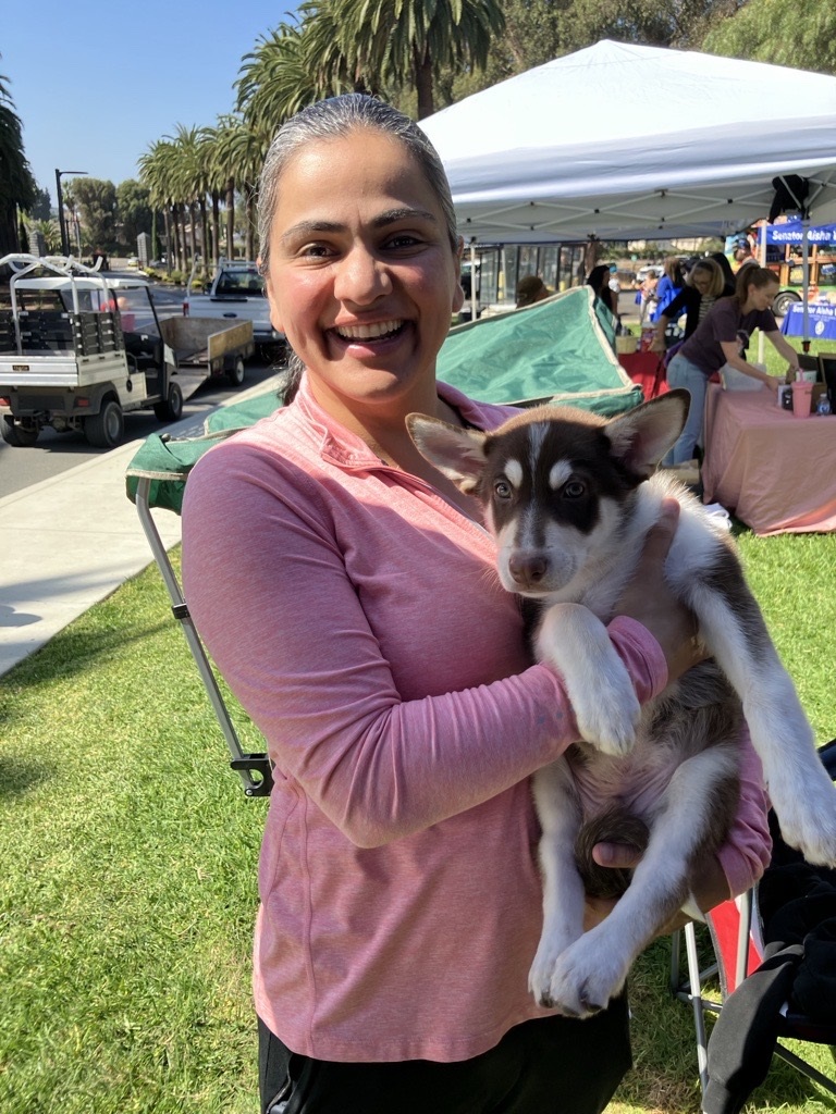 Celebrating Newark’s 70th Birthday. Union City Mutt Strut (with adoptable puppies).